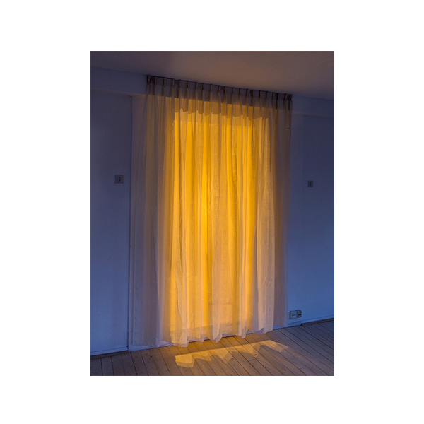 camera lucida | dusk