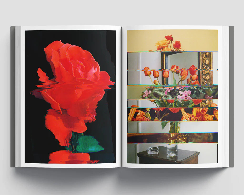 Nico Krijno | Collages 2020-2022