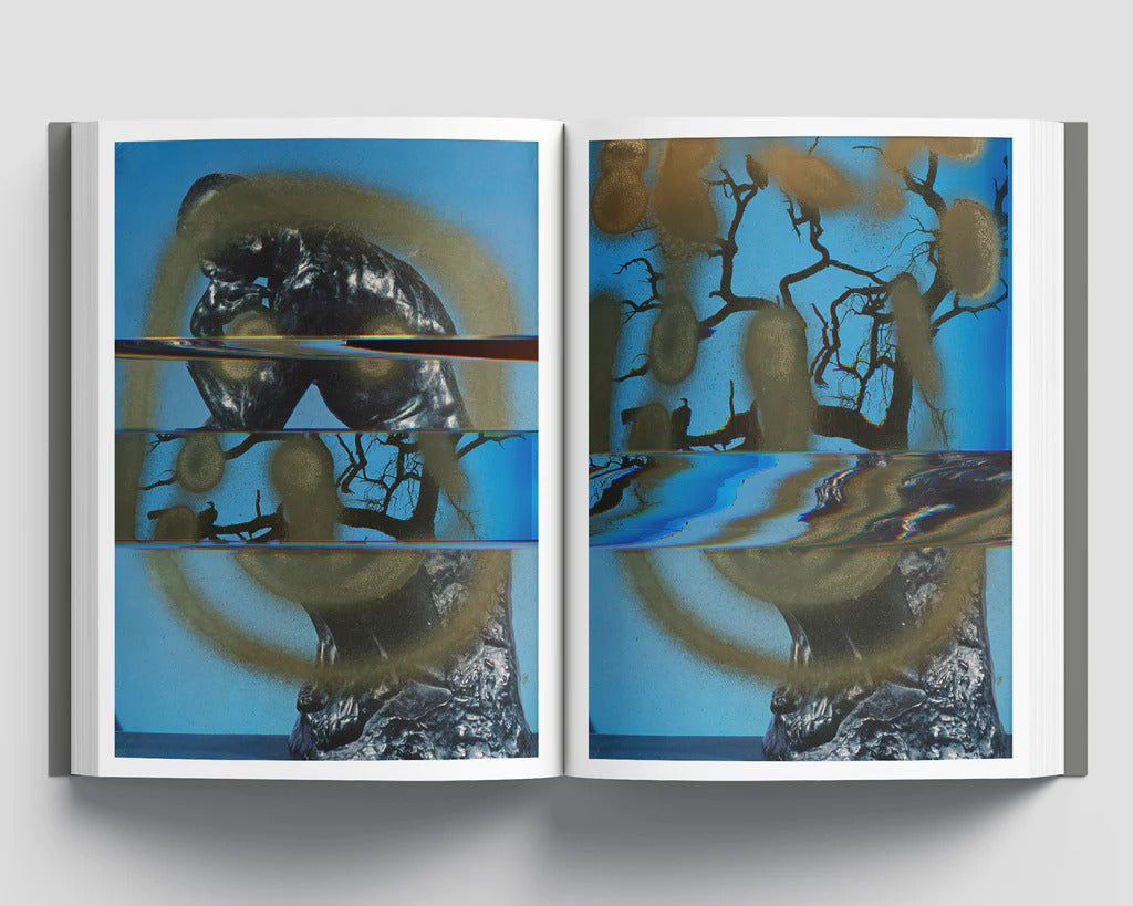 Nico Krijno | Collages 2020-2022