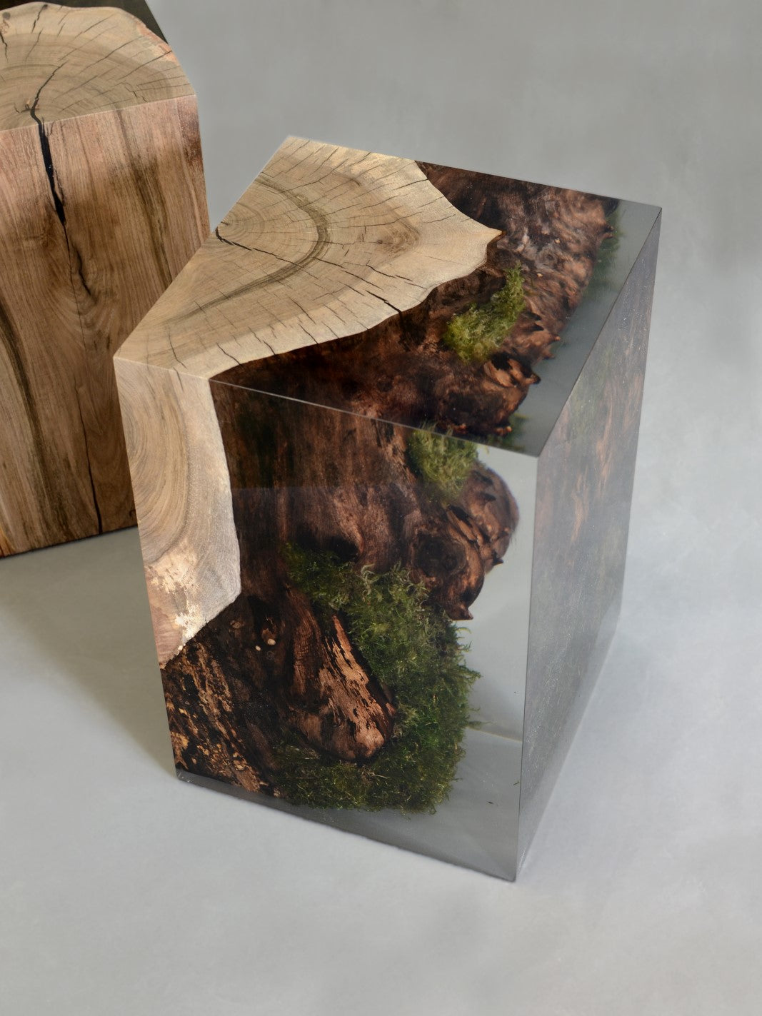 stump walnut