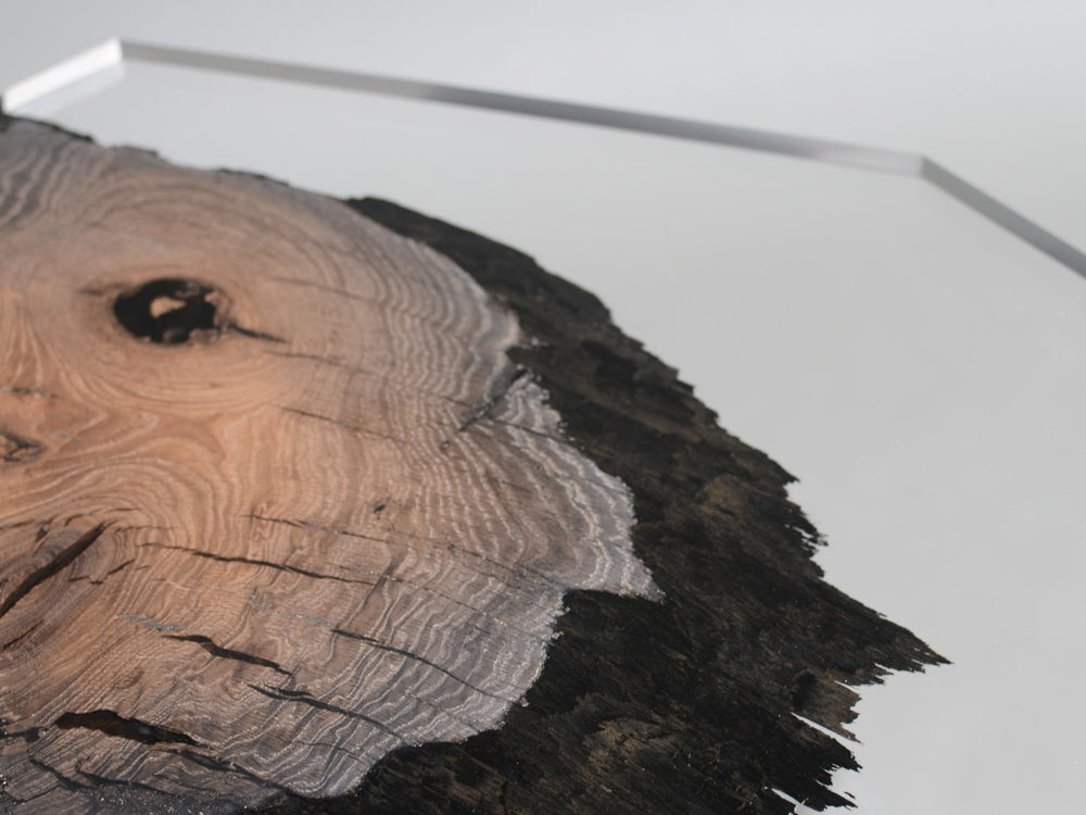 wetland | coffee table