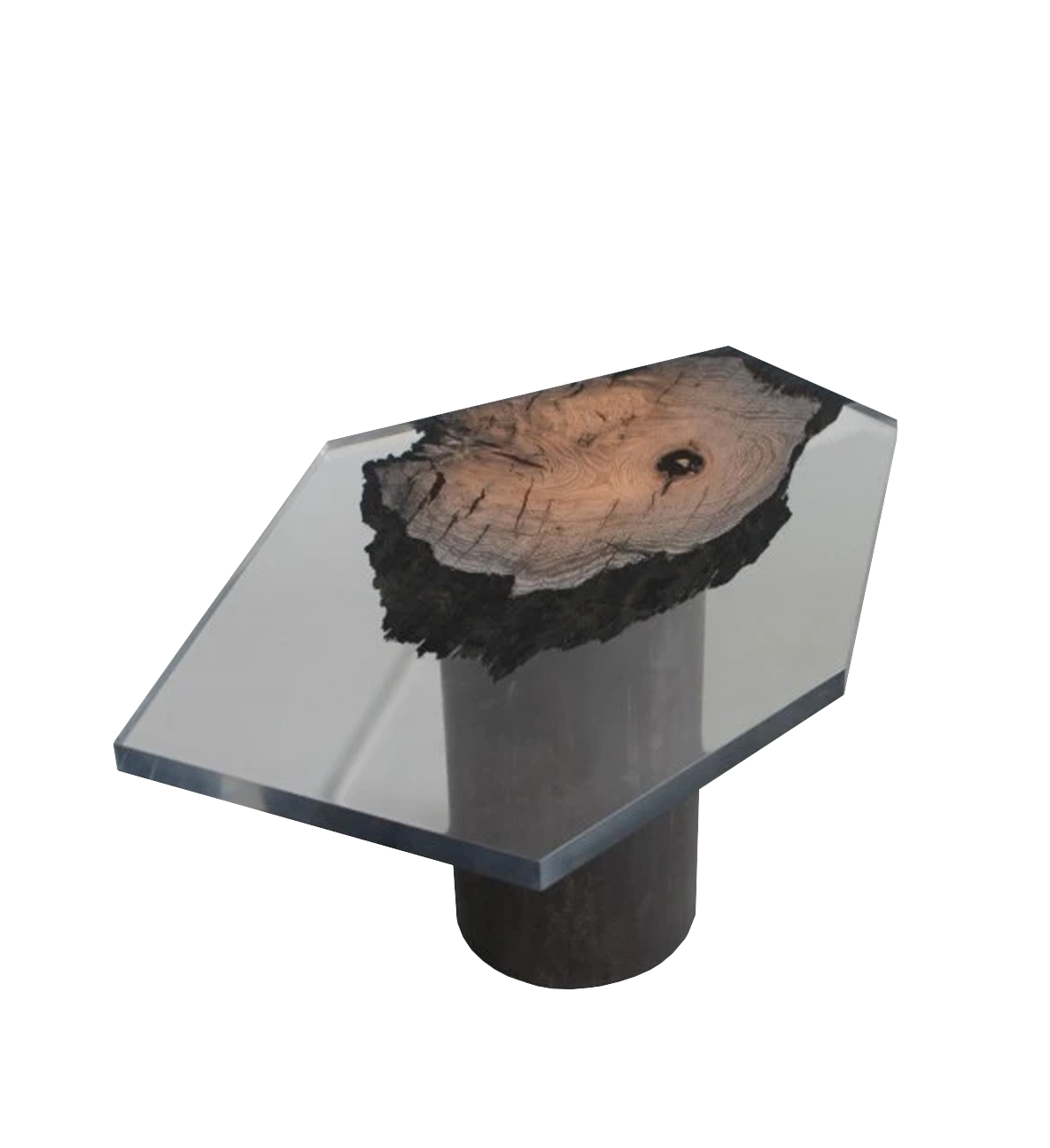 wetland | coffee table