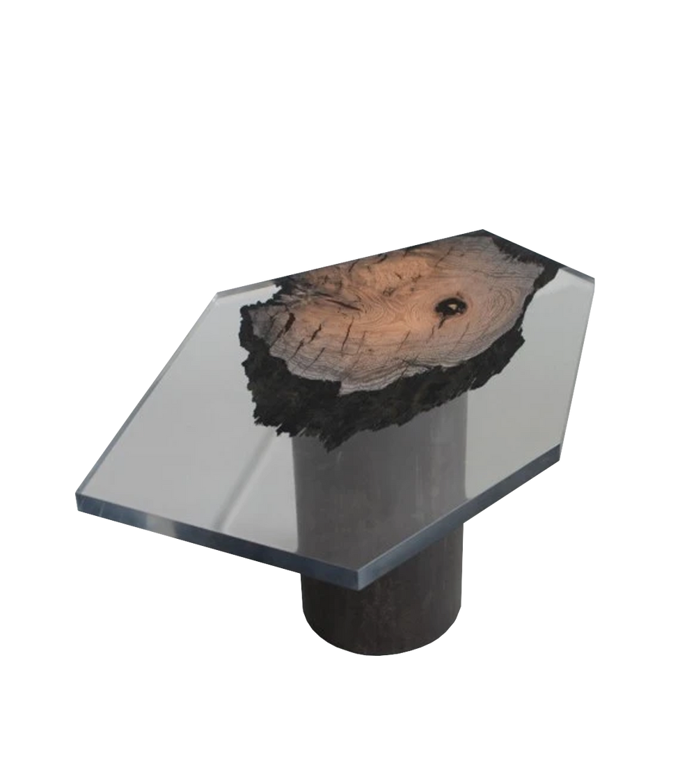 wetland | coffee table