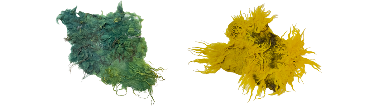 The 'Beautiful' Beast