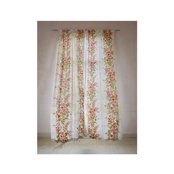 camera lucida | spring