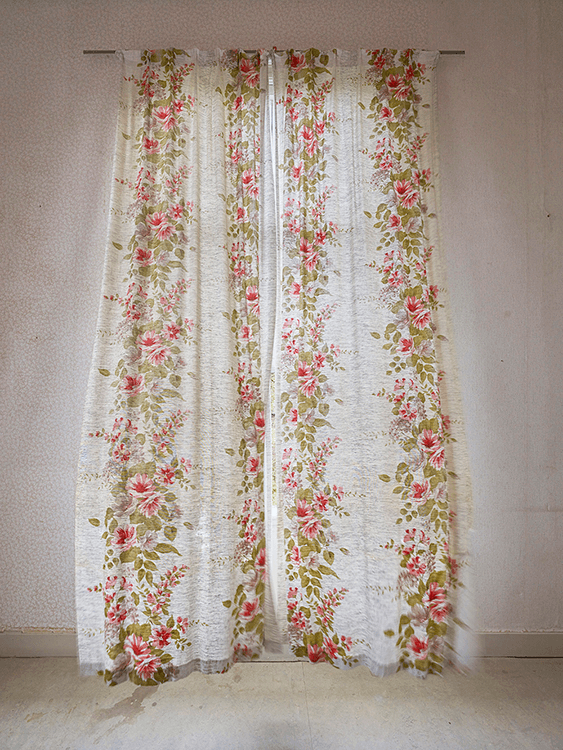 camera lucida | spring