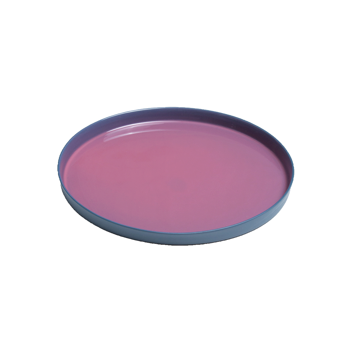 porcelain | dinner plate