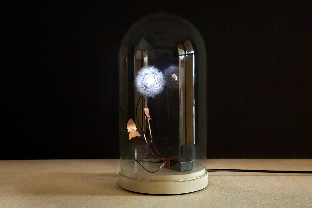 Studio Drift | Dandelight & Glass Dome