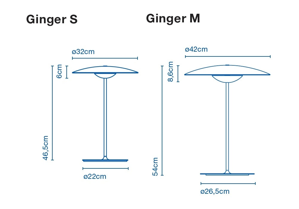 Ginger