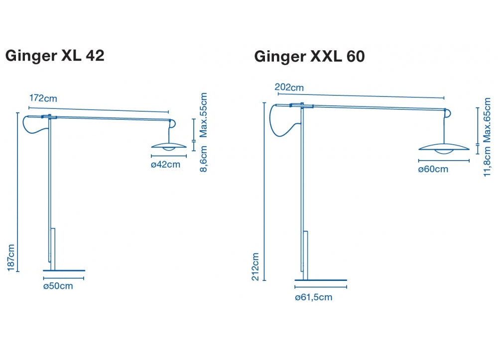 Ginger | xl