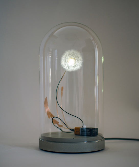 Studio Drift | Dandelight & Glass Dome | Frozen Fountain